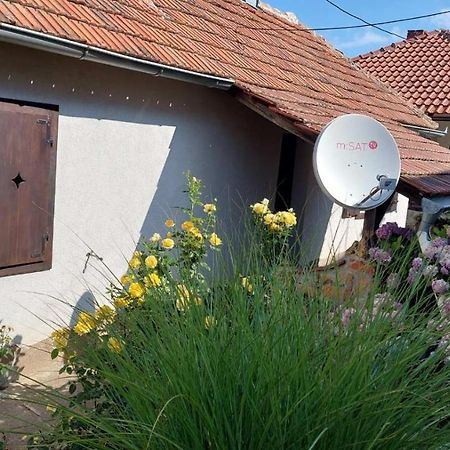 Apartman Nebojsa Rudnik Exterior photo