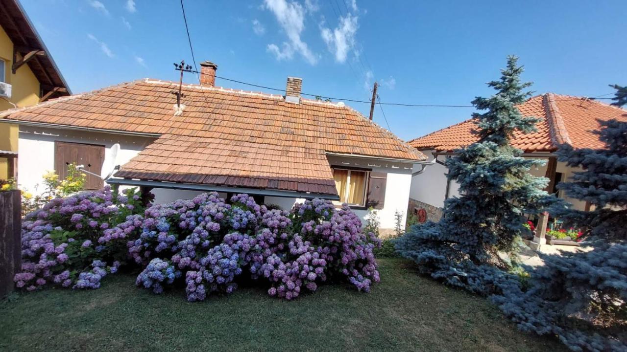 Apartman Nebojsa Rudnik Exterior photo