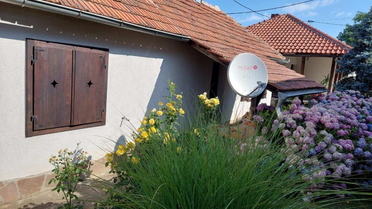 Apartman Nebojsa Rudnik Exterior photo