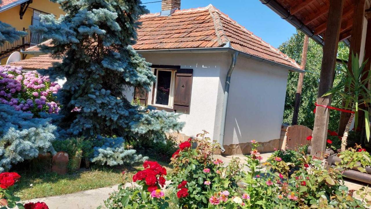 Apartman Nebojsa Rudnik Exterior photo