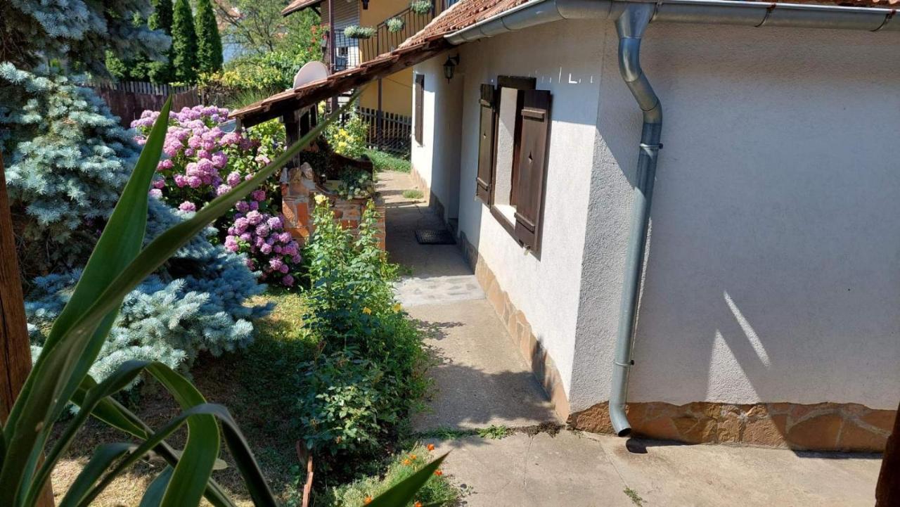 Apartman Nebojsa Rudnik Exterior photo