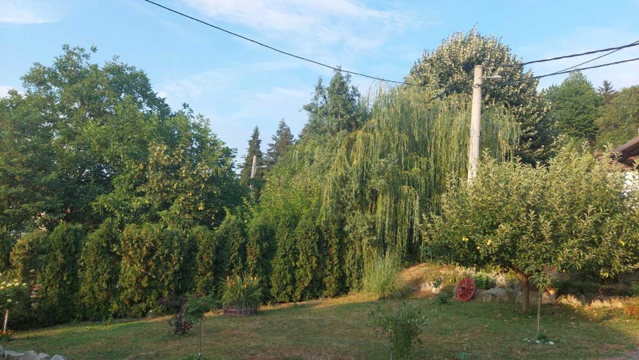 Apartman Nebojsa Rudnik Exterior photo
