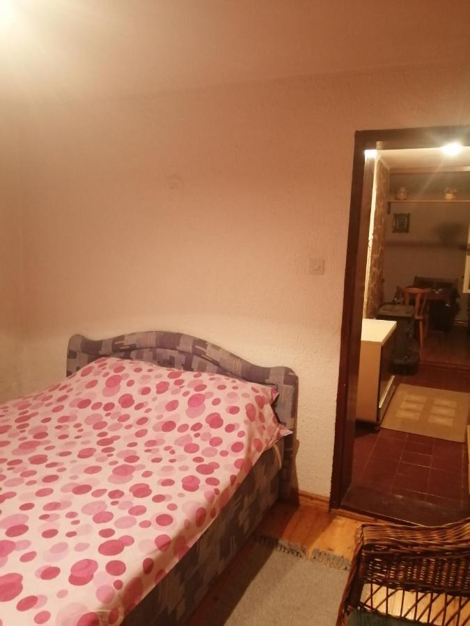 Apartman Nebojsa Rudnik Exterior photo